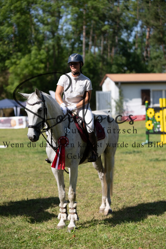 A7V06531 | Pferdefotograf