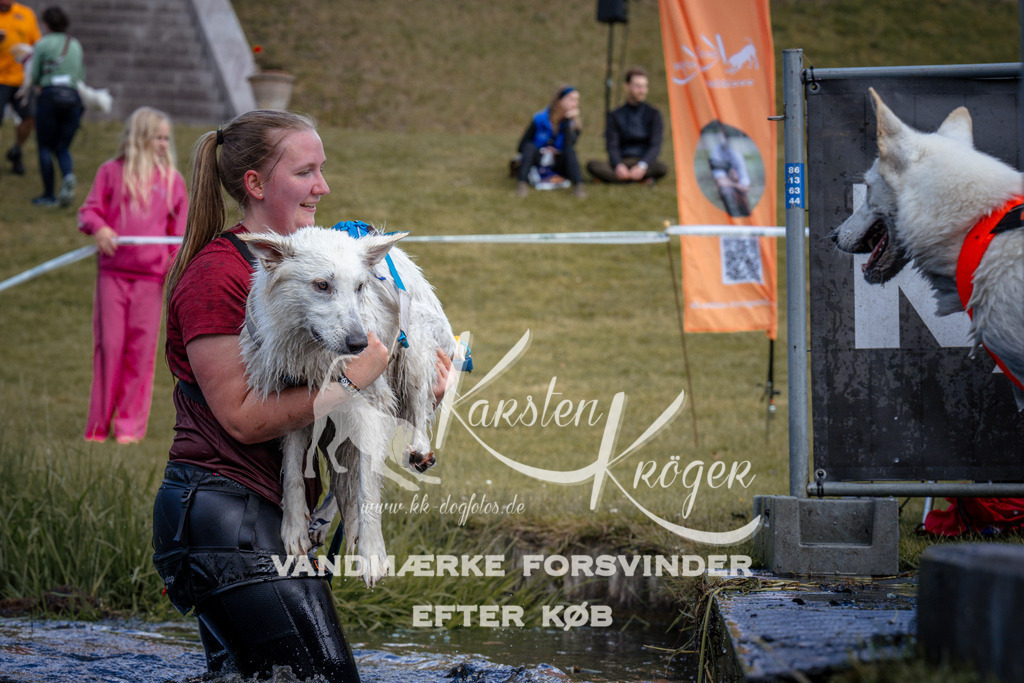 _ZZ920040919 | kk-dogfotos