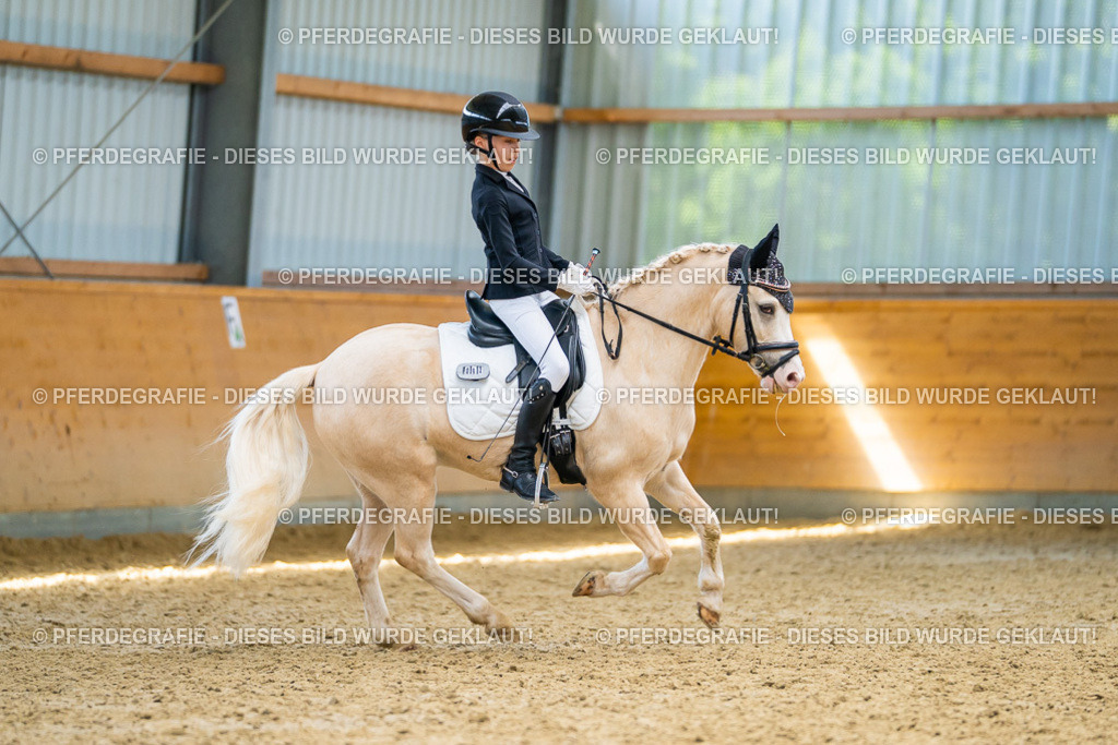 DSC09097 | Pferdegrafie