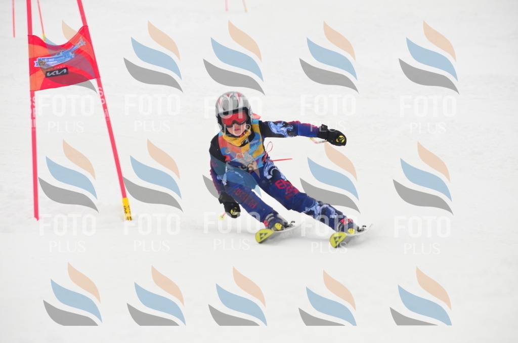 C1436 | holidayphoto