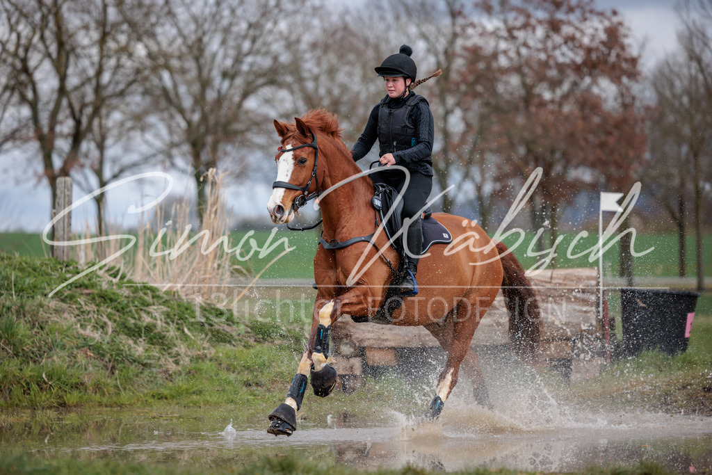 20260329-_3LI5230 | Tierfotografie Pferde, Hunde, Katzen, Haustiere.
Turnierfotografie Reitturniere, Reiten, Springreiten, Dressur in Hanau, dem Main-Kinzig-Kreis und dem Rhein-Main- Gebiet um Frankfurt