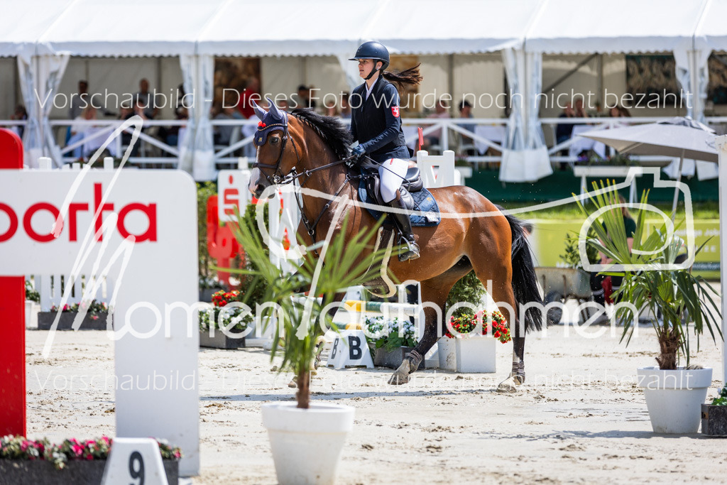 BHO-FriendshipFinale-002 | MomenTaufnahmen Pferdesportfotos
