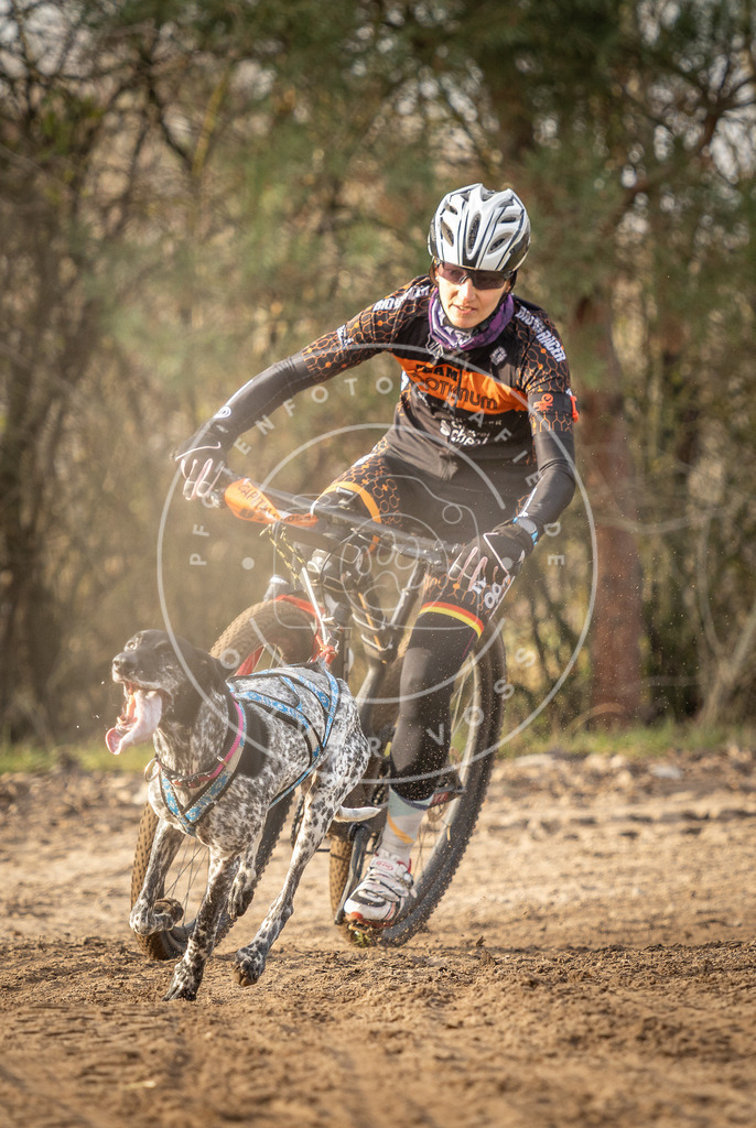 Pfotenfotografie_DV3A7477 | Hundefotografie, Tierfotograf, Pfotenfotografie, Fotoshooting Hund, Hunde Portrait, Hundesport, Hundeportraits, Heideshooting, Hunde, Sportfotograf, Hundefotograf, Turnierhundsport, THS,  - Realisiert mit Pictrs.com