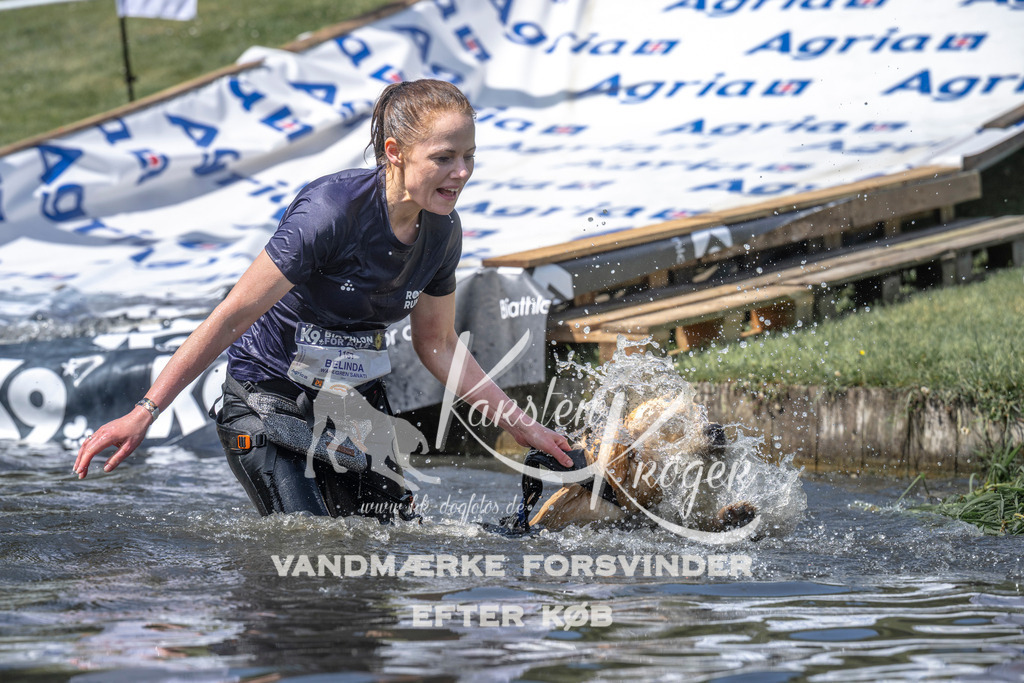 1242_ZZ98652 | kk-dogfotos