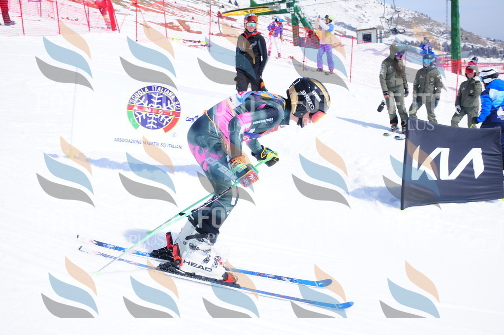 DSC_7027 | holidayphoto