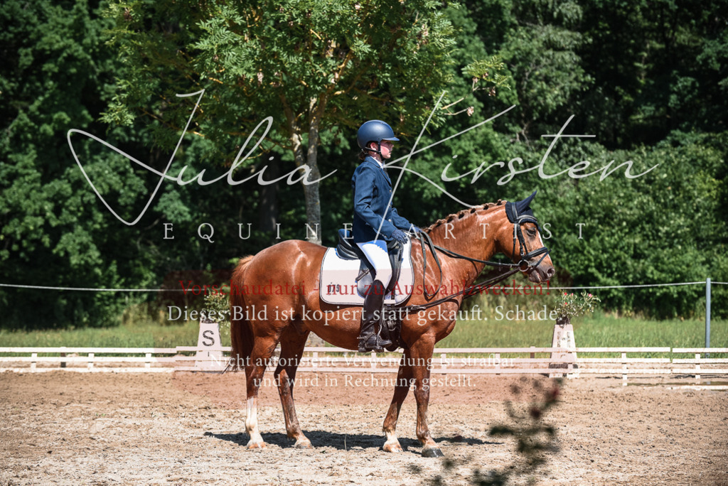 DSC_3553 | Pferde- und Turnierfotografie in Westsachsen. Pferdeportraits, Auftragszeichnungen und intuitive Kunst.
