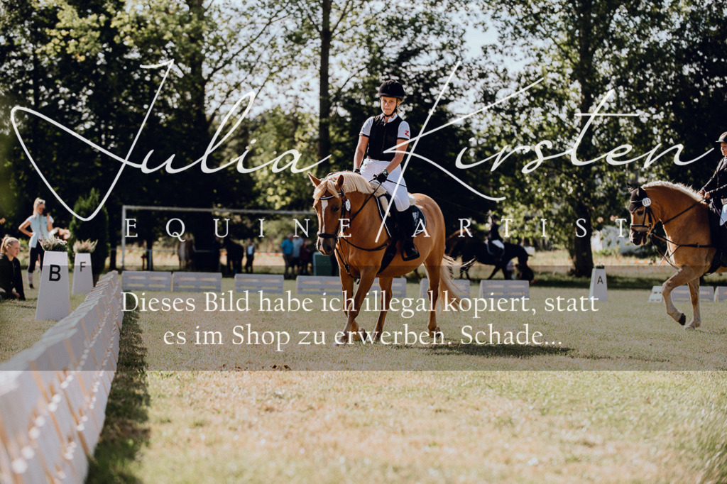 DSC_7065 | Pferde- und Turnierfotografie in Westsachsen. Pferdeportraits, Auftragszeichnungen und intuitive Kunst.