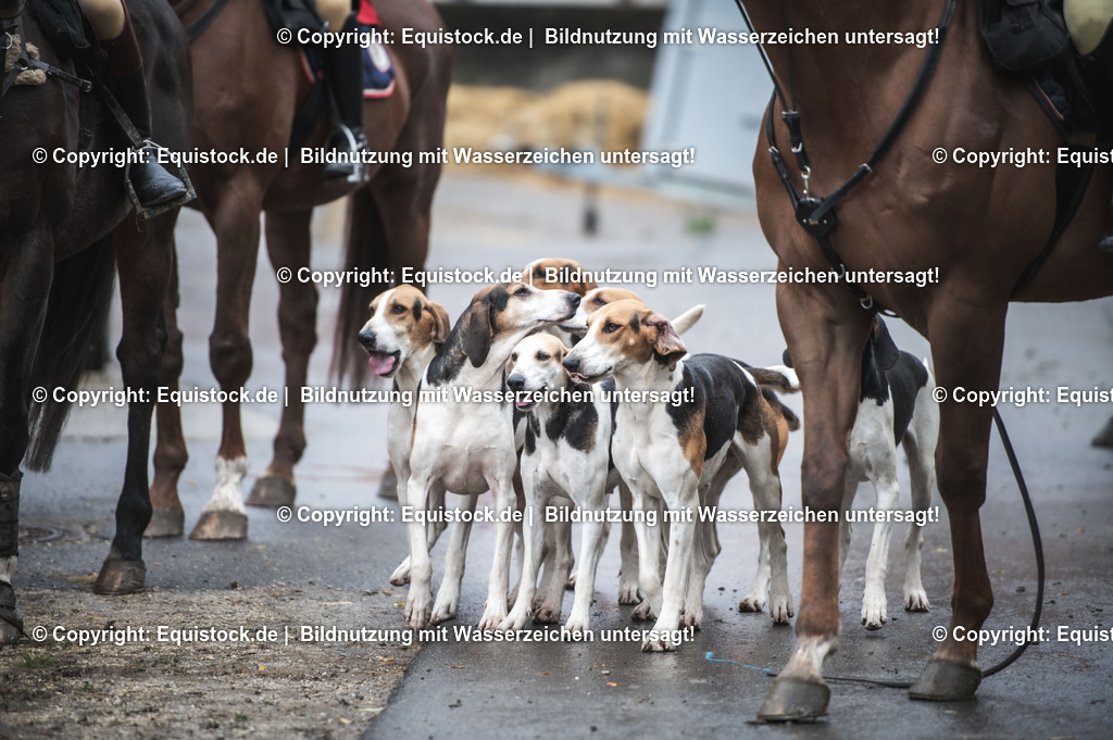 20241013_Jagd-Marbach_0132 | Foto: Thomas Hartig