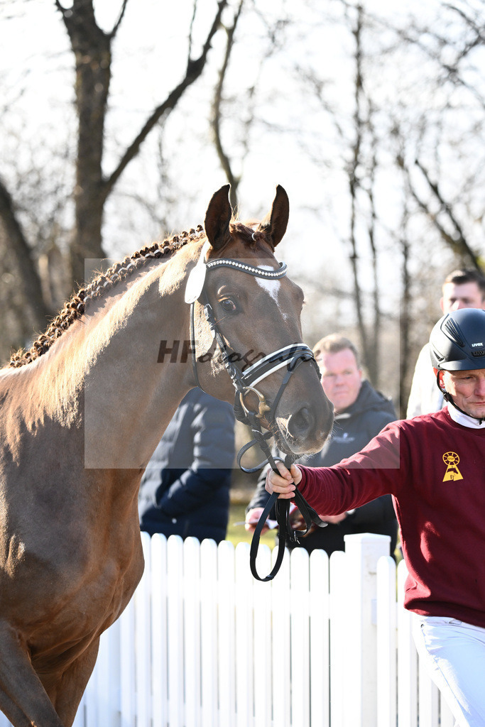 Impressionen Harter Boden_2240235 | hf-fotografie - Realisiert mit Pictrs.com
