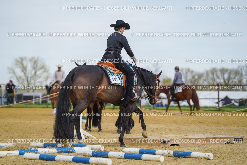 DSC05263 | Pferdegrafie