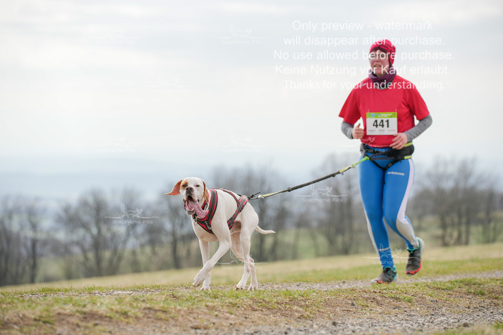 CaniXRunSA-240 | stephaniefillaphotographie - Realisiert mit Pictrs.com