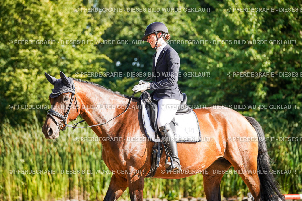 DSC09002 | Pferdegrafie