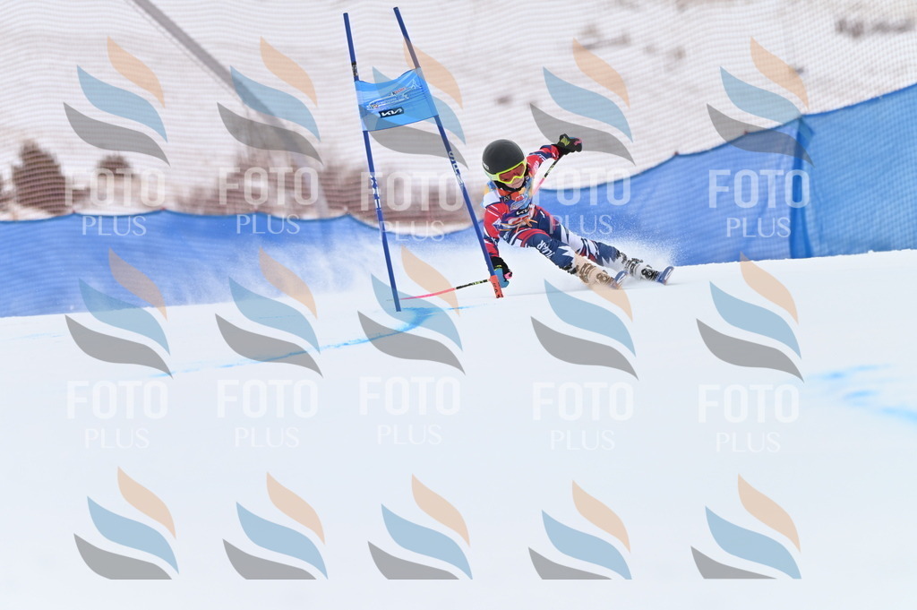 BGV_3151 | holidayphoto