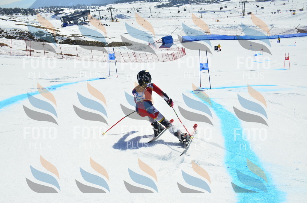 _ELE9711 | holidayphoto