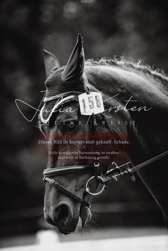 DSC_0785 | Pferde- und Turnierfotografie in Westsachsen. Pferdeportraits, Auftragszeichnungen und intuitive Kunst.