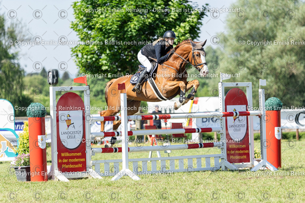 CL5A7313 | Emilia Reinking Fotografie - Realisiert mit Pictrs.com