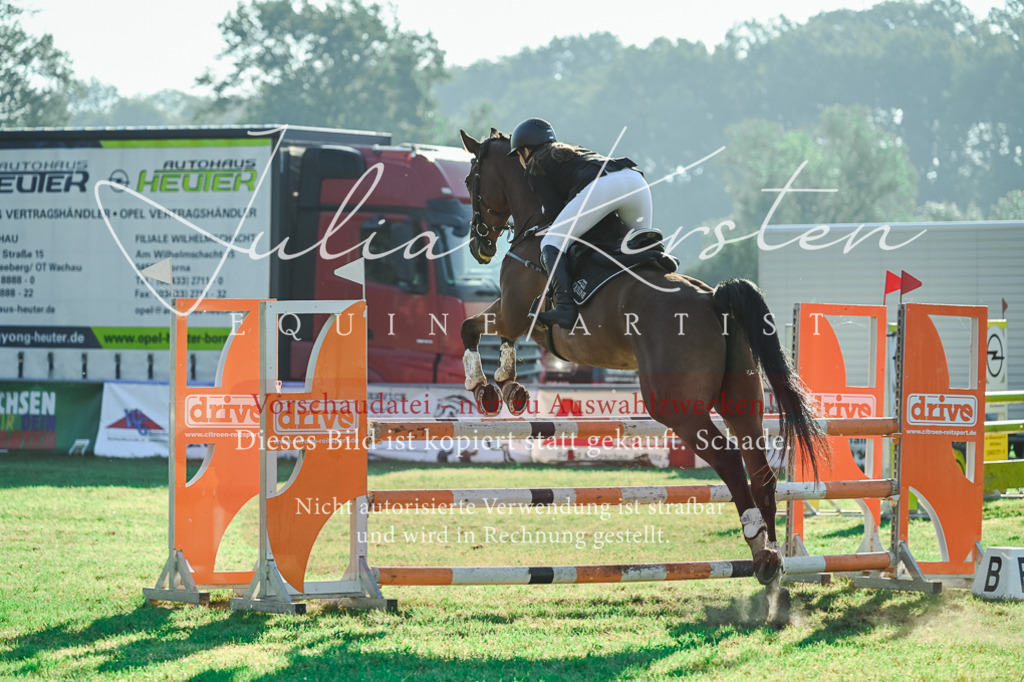 DSC_4530 | Pferde- und Turnierfotografie in Westsachsen. Pferdeportraits, Auftragszeichnungen und intuitive Kunst.