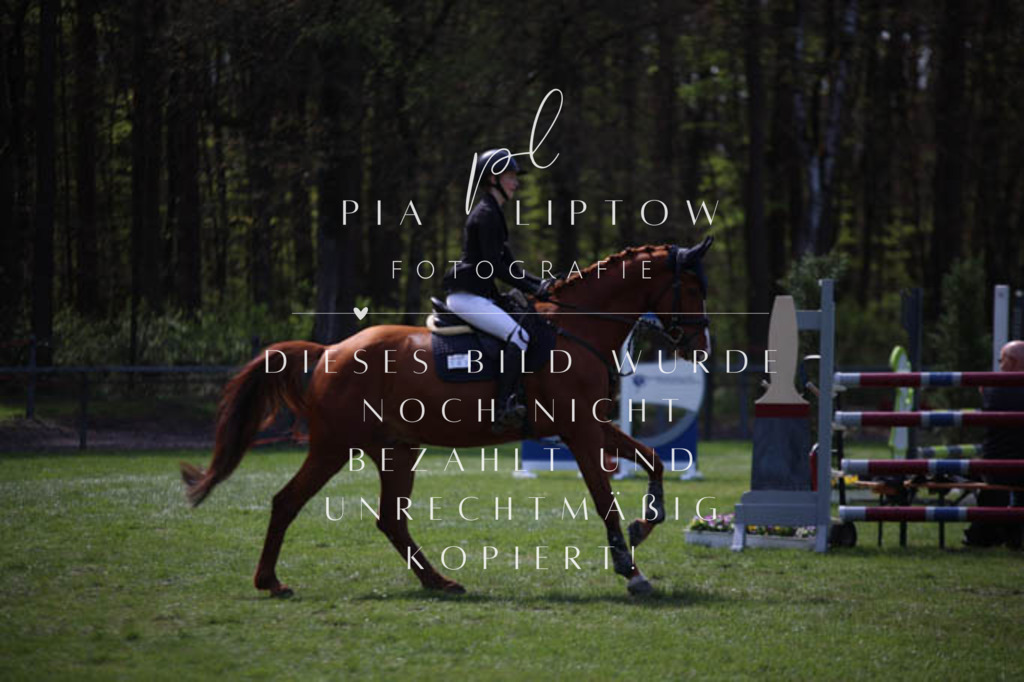 IMGT5343 | pl-fotografie