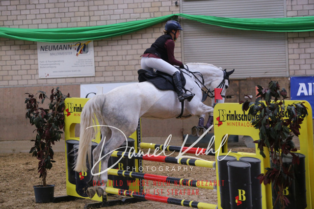 IMG_0717 | Turnierfotos kaufen im Webshop von Daniel Kuhl Photography – entdecke professionelle Reitsportfotos aus Turnieren & Events. Hochwertige Turnierbilder online bestellen & sichern. Jetzt Fotos von Reitsportturnieren kaufen!