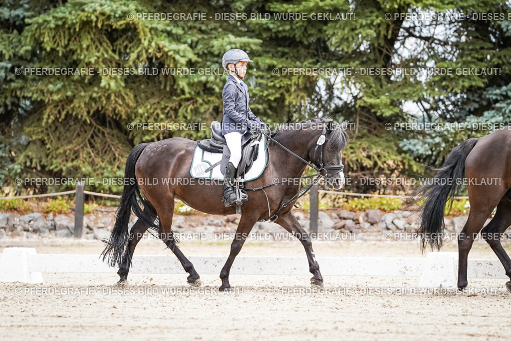 DSC02848 | Pferdegrafie