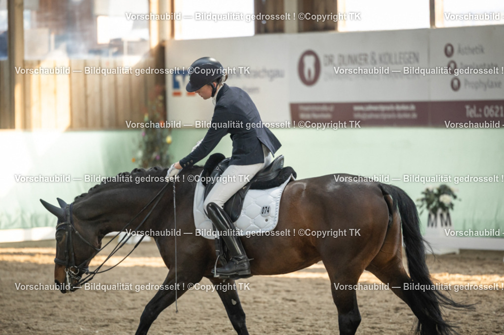 _D5A3281 | Emotionale Pferde- & People-Fotografie rund um Heidelberg, Leimen & Umgebung. Natürliche Fotos von Pferd, Mensch & Familie. Jetzt Termin sichern!