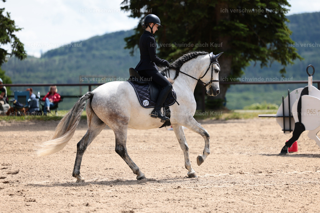 KlasseA_Stoibphotography_C2_L5704.JPG | working equitationturnier fotograf videograf stoibphotography marixx film working equitation deutschland reitsport turnierfotografie eventfotografie equestrian events