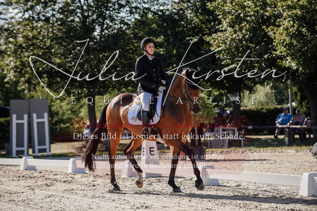 DSC_0292 | Pferde- und Turnierfotografie in Westsachsen. Pferdeportraits, Auftragszeichnungen und intuitive Kunst.