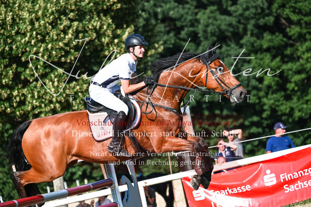 DSC_2669 | Pferde- und Turnierfotografie in Westsachsen. Pferdeportraits, Auftragszeichnungen und intuitive Kunst.