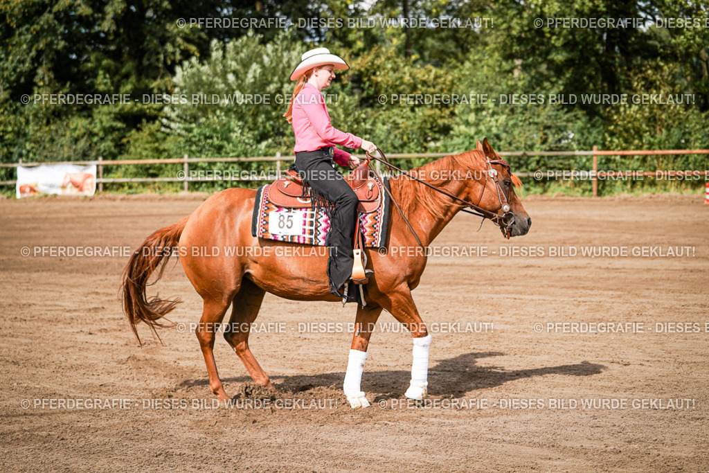 DSC09356 | Pferdegrafie