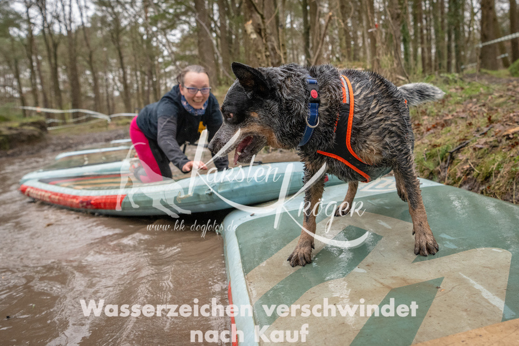 1153_ZZ90267 | kk-dogfotos