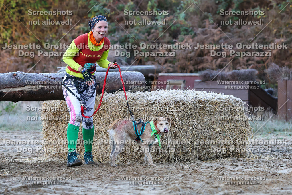 Dog Paparazzi - Strongdog 10-25-243 | Dog Paparazzi Jeanette Grottendiek Fotografie & Videografie - Realisiert mit Pictrs.com