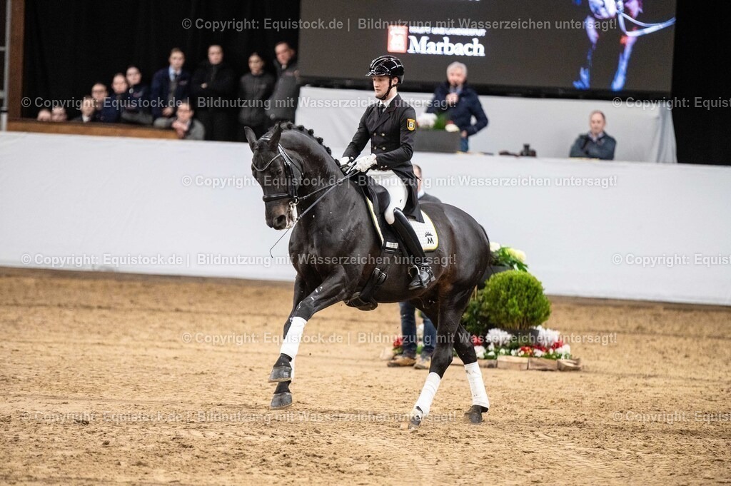 20260307_Hengstvorstellung-Marbach_0490 | equistock