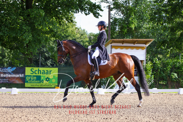 DKP41558 | Turnierfotos kaufen im Webshop von Daniel Kuhl Photography – entdecke professionelle Reitsportfotos aus Turnieren & Events. Hochwertige Turnierbilder online bestellen & sichern. Jetzt Fotos von Reitsportturnieren kaufen!
