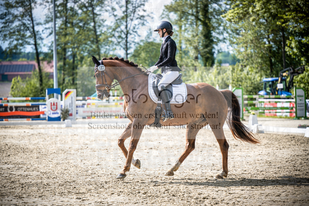 DOS_4690 | Reitturnier Venne - Realisiert mit Pictrs.com