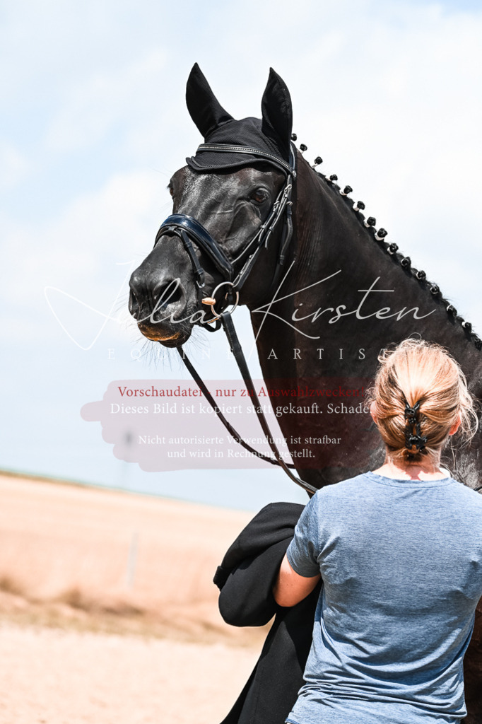 DSC_2728 | Pferde- und Turnierfotografie in Westsachsen. Pferdeportraits, Auftragszeichnungen und intuitive Kunst.