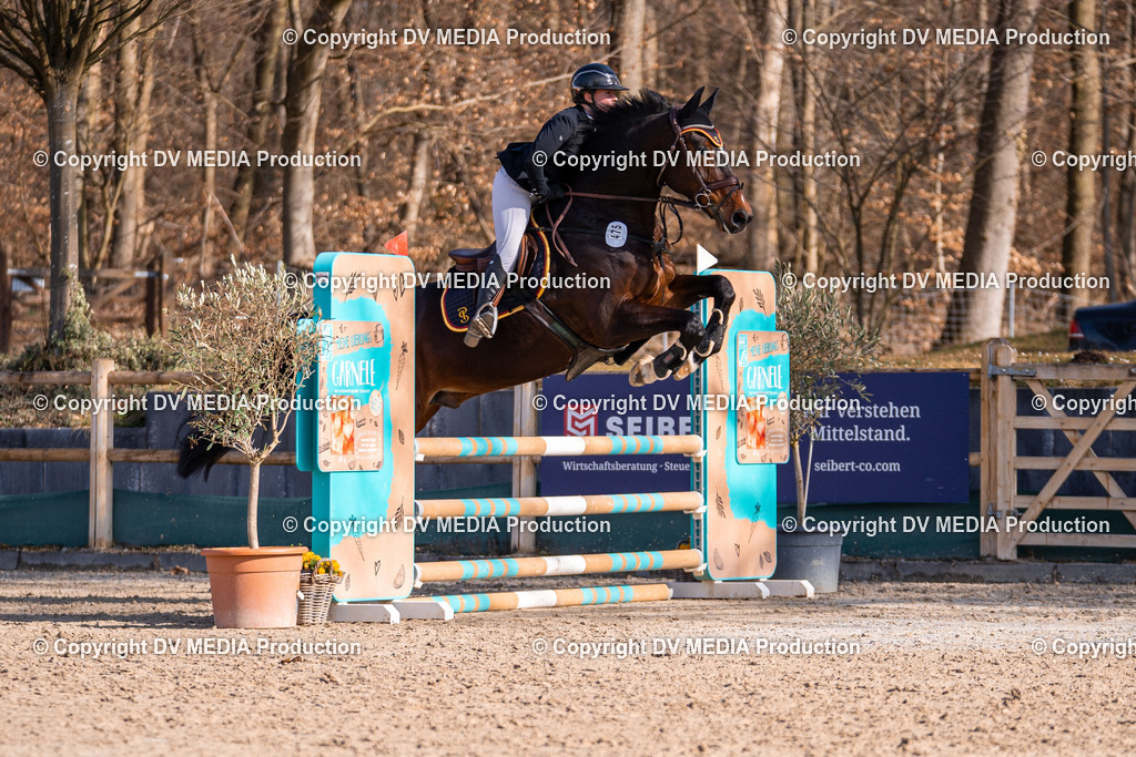 Kranichstein Tag 1-247 | dv-media-shop - Realisiert mit Pictrs.com