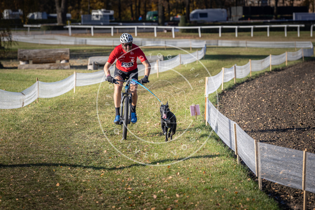CaniXpix_DV3A3653 | Hundefotografie, Tierfotograf, Pfotenfotografie, Fotoshooting Hund, Hunde Portrait, Hundesport, Hundeportraits, Heideshooting, Hunde, Sportfotograf, Hundefotograf, Turnierhundsport, THS,  - Realisiert mit Pictrs.com