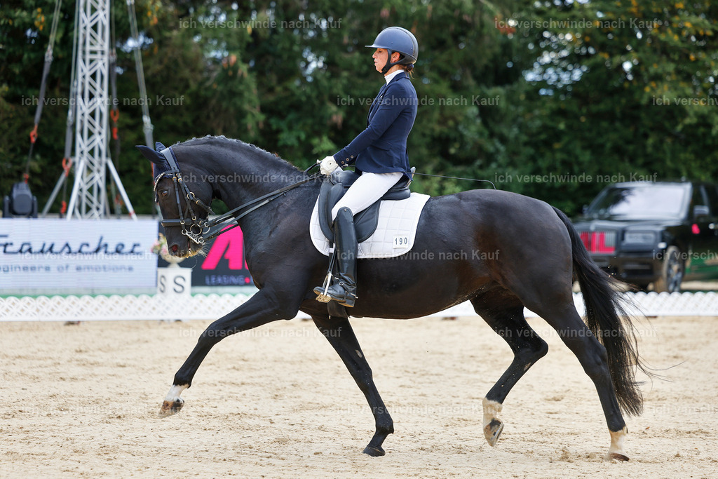 04_1-190-Dressur M__ -StoibPH-StoibPH-2643 | working equitationturnier fotograf videograf stoibphotography marixx film working equitation deutschland reitsport turnierfotografie eventfotografie equestrian events