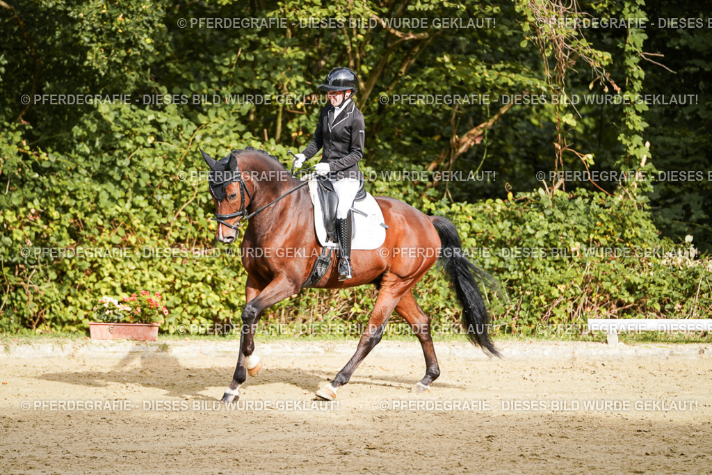 DSC09240 | Pferdegrafie