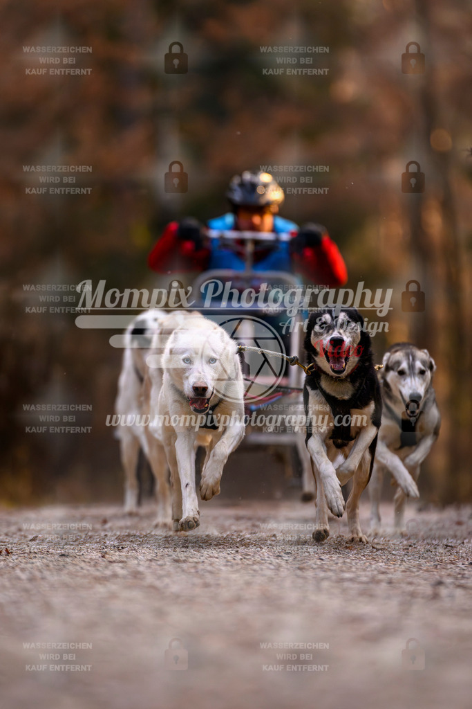 MompixPhotography_DM_AKDM_SO_2025_Wagen-25 | PayLife