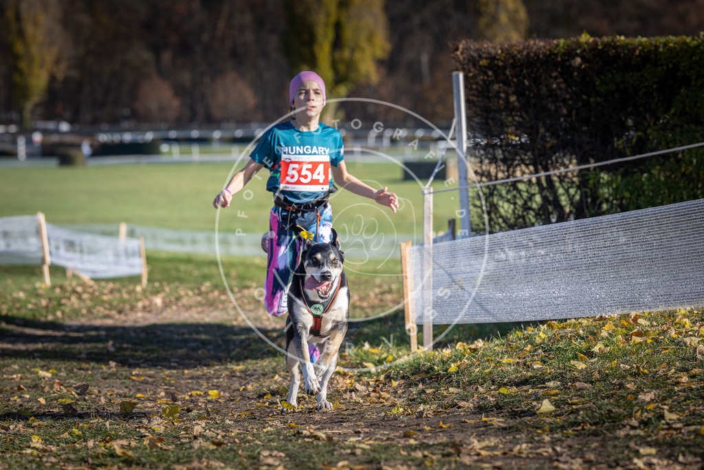 CaniXpix_DV3A8559 | Hundefotografie, Tierfotograf, Pfotenfotografie, Fotoshooting Hund, Hunde Portrait, Hundesport, Hundeportraits, Heideshooting, Hunde, Sportfotograf, Hundefotograf, Turnierhundsport, THS,  - Realisiert mit Pictrs.com