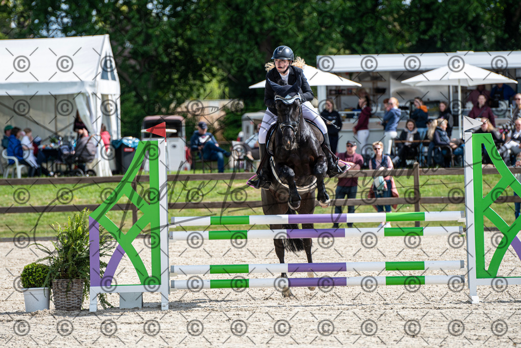 KPT_4937 | andre_photographic