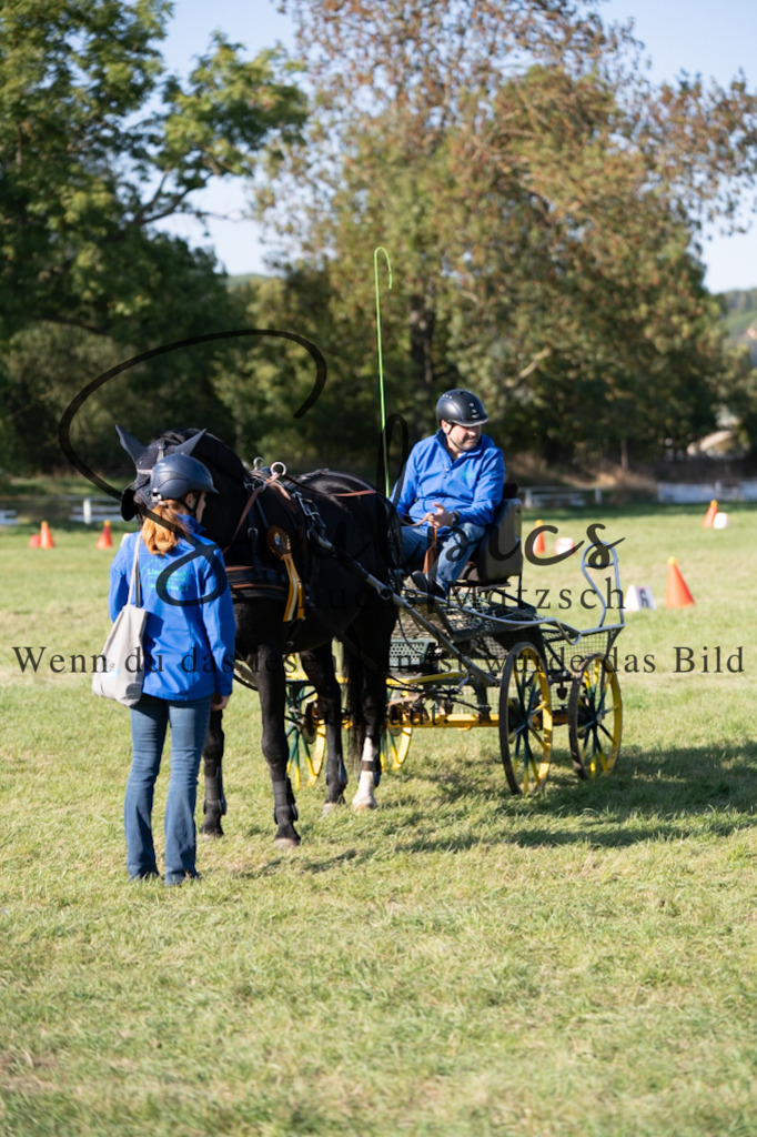 A7V04562 | Pferdefotograf