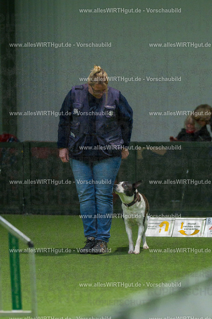 7R504720 | Professionelle Tierfotografie in Mönchengladbach von Daniel Wirth (allesWIRTHgut). Liebevolle & natürliche Bilder von Hunden & Katzen für unvergessliche Erinnerungen.