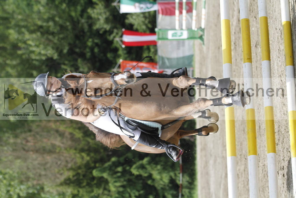 _MG_5156 | equestrian-live-com