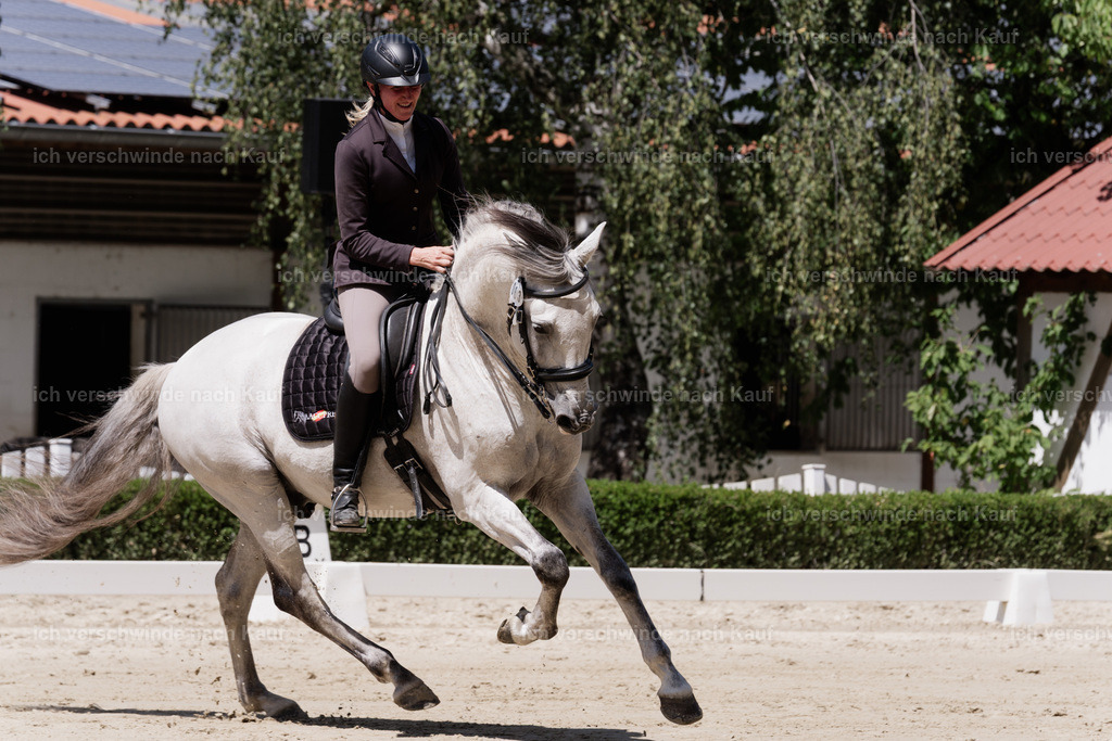 WS_DR_83_sinafilmart_IN08857 | working equitationturnier fotograf videograf stoibphotography marixx film working equitation deutschland reitsport turnierfotografie eventfotografie equestrian events