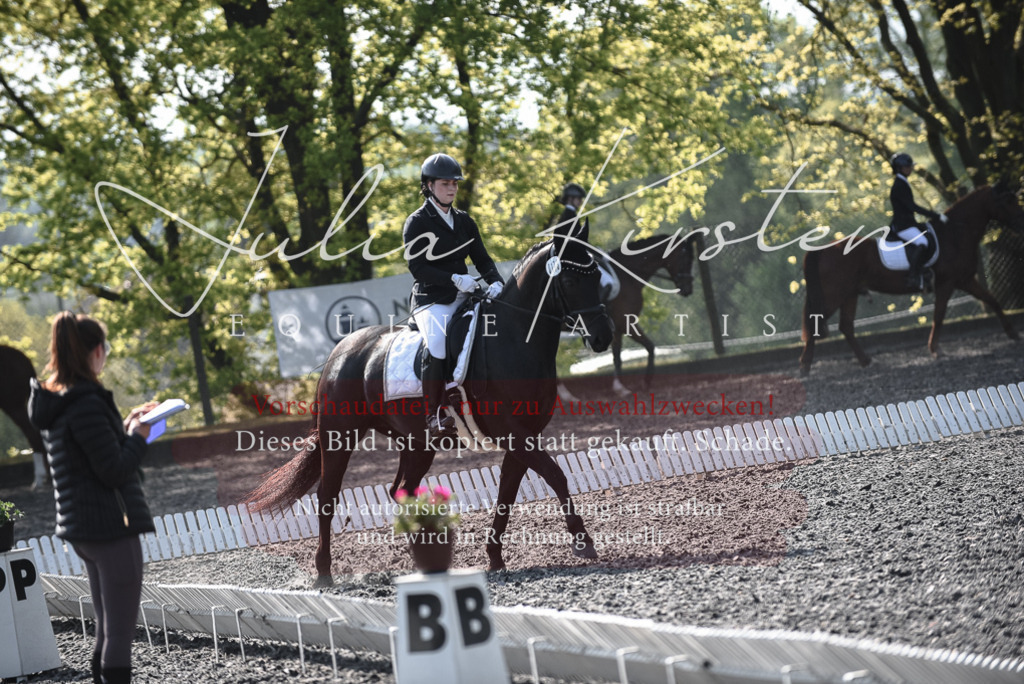 20230513_JK-Röhrsdorf-14-082 | Pferde- und Turnierfotografie in Westsachsen. Pferdeportraits, Auftragszeichnungen und intuitive Kunst.