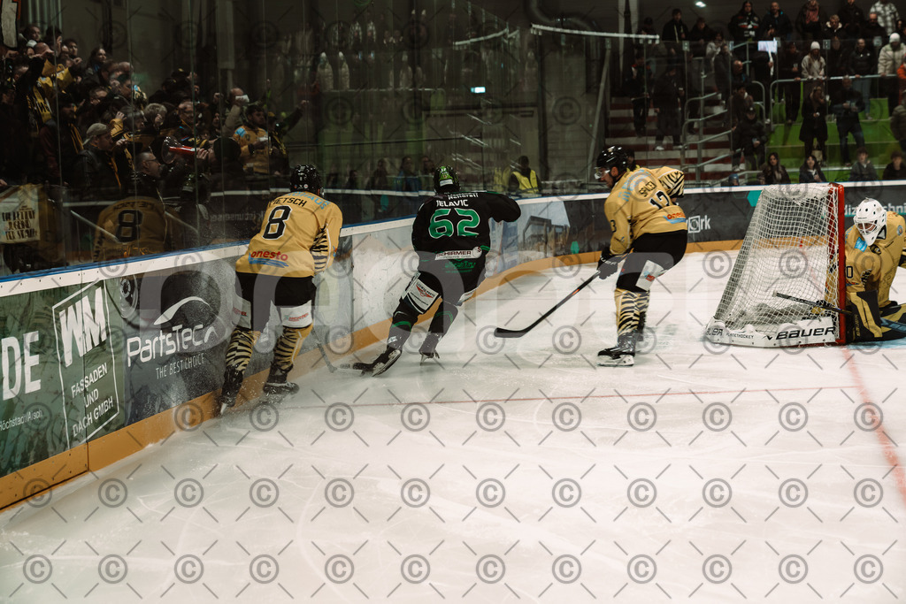 Alligators_vs_Bayreuth_10_2025-68 | Höchstadt Alligators Fotogalerie: Eishockey-Action aus Franken. Professionelle Spielfotos, Portraits & Stadionbilder zum Download. Jetzt entdecken! - Realisiert mit Pictrs.com