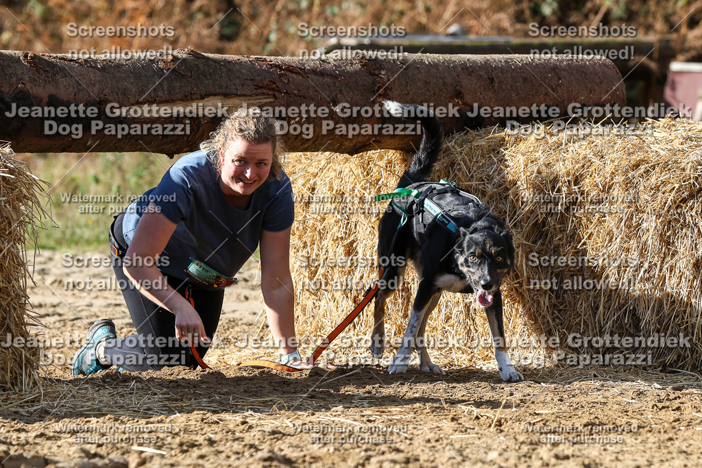 Dog Paparazzi - Strongdog 10-25-4911 | Dog Paparazzi Jeanette Grottendiek Fotografie & Videografie - Realisiert mit Pictrs.com