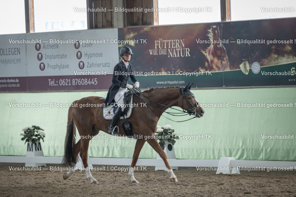 _D5A6474 | Emotionale Pferde- & People-Fotografie rund um Heidelberg, Leimen & Umgebung. Natürliche Fotos von Pferd, Mensch & Familie. Jetzt Termin sichern!